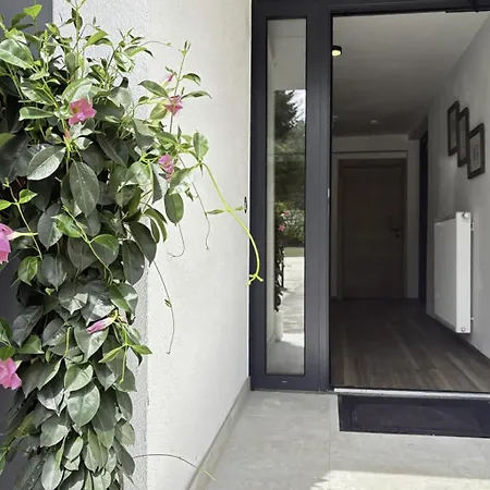 Typ C-5 By Interhome Appartamento *